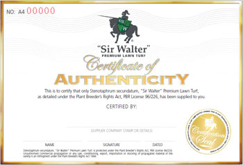 Sir Walter certificate of authenticity