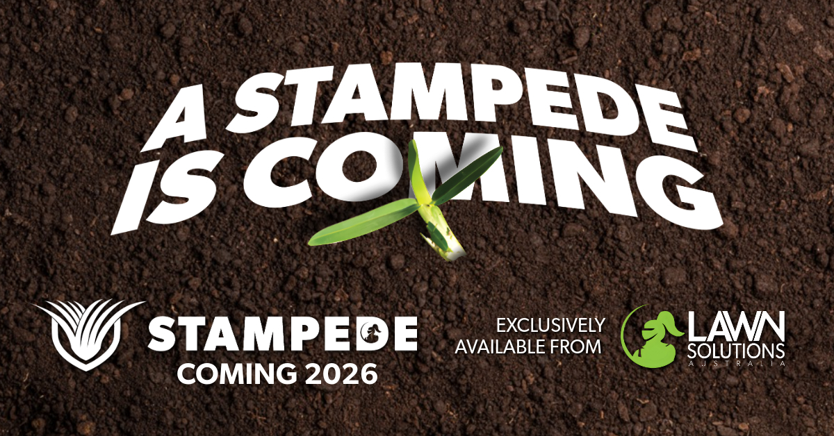 Stampede Hybrid Buffalo