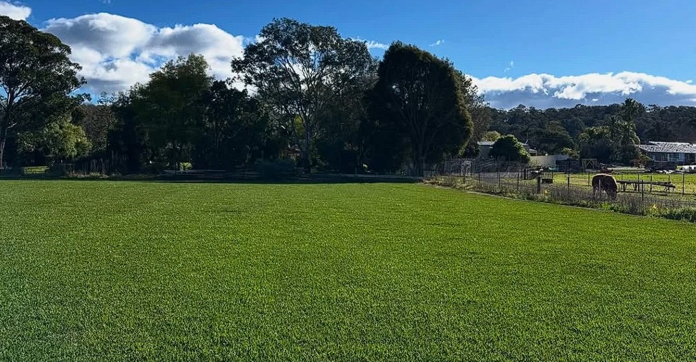 Stampede established Stampede established