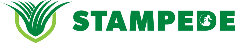 Stampede Stampede
