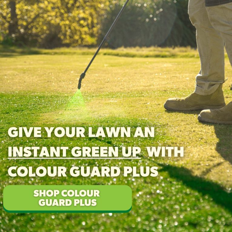 Colour Guard Plus