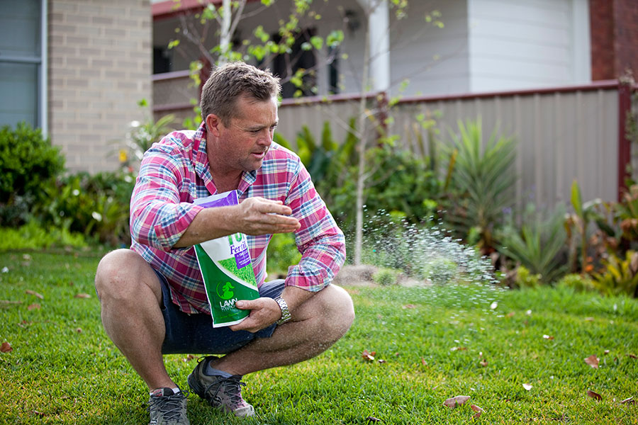 fertilising your lawn