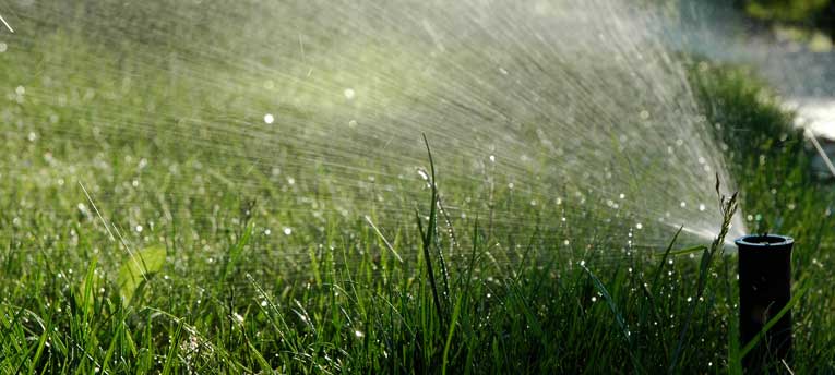 lawn watering restriction exemption