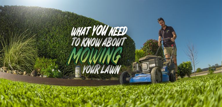 Mowing Guide
