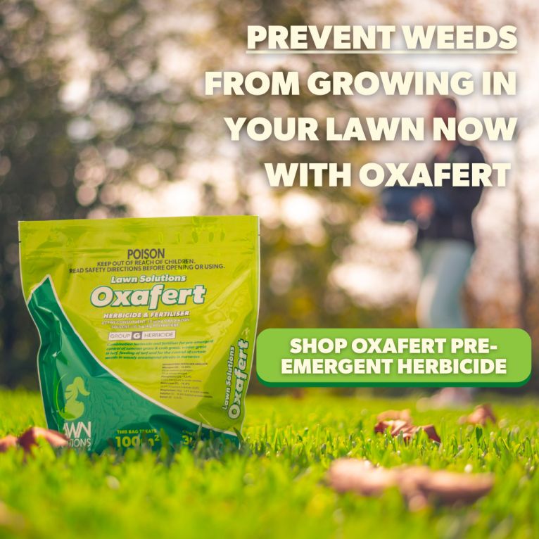 Oxafert Pre-emergent