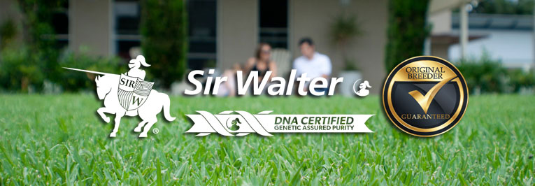 Sir Walter DNA Certified