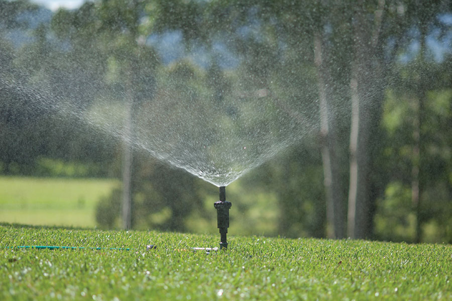 Watering your lawn