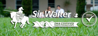 Sir Walter Turf