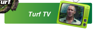 Sir Walter Buffalo Turf TV